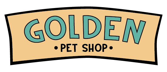 golden muito fofinho a pronta entrega, um pet de família - Cachorros e  acessórios - Pinheiros, São Paulo 1097949230